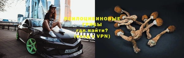 трава Алзамай