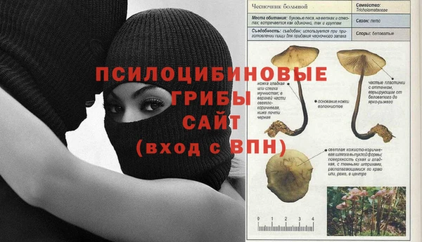 эйфоретик Абдулино
