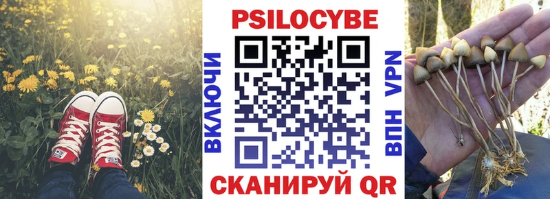 Псилоцибиновые грибы мицелий  Красноармейск 