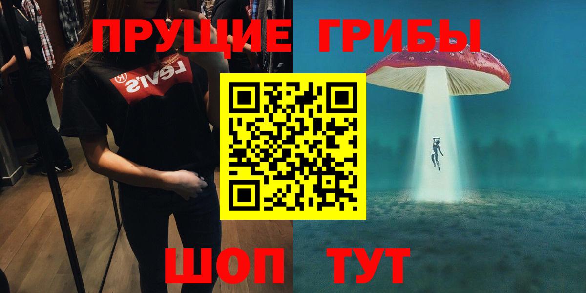 Галлюциногенные грибы Psilocybine cubensis Красноармейск